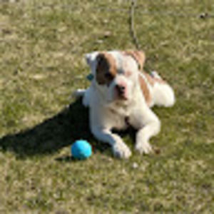 Meet your Posher, Diane